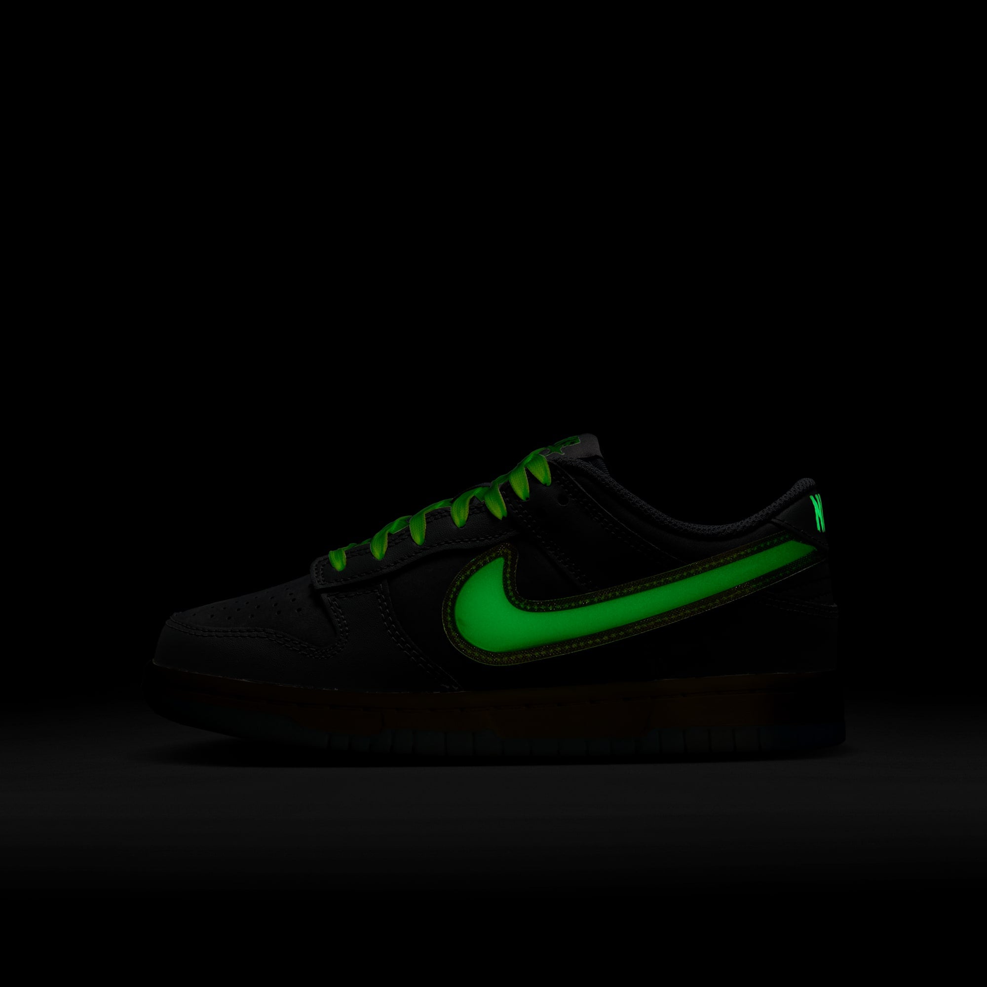 [HQ3569-068] GRADE SCHOOL NIKE GS DUNK LOW