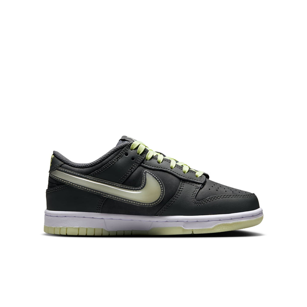 [HQ3569-068] GRADE SCHOOL NIKE GS DUNK LOW