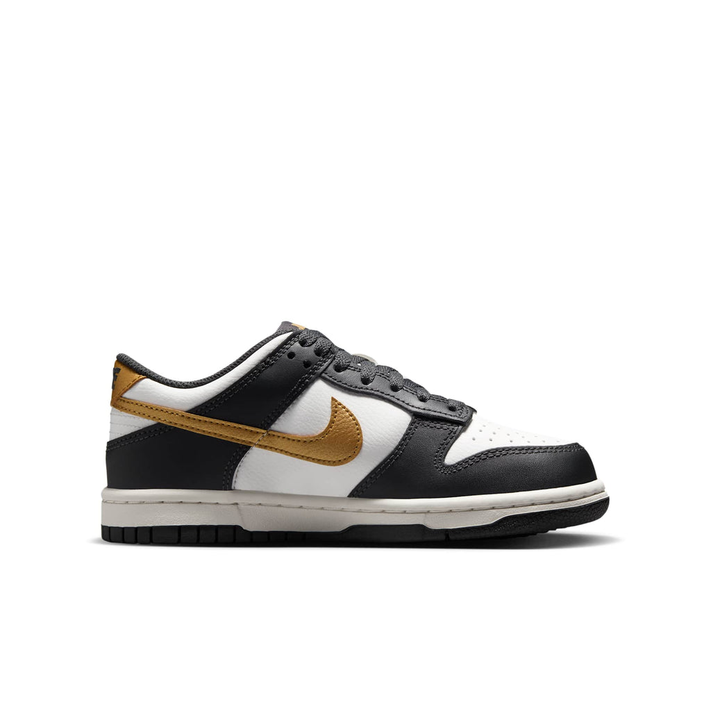 [HV2533-100] GRADE SCHOOL NIKE GS DUNK LOW