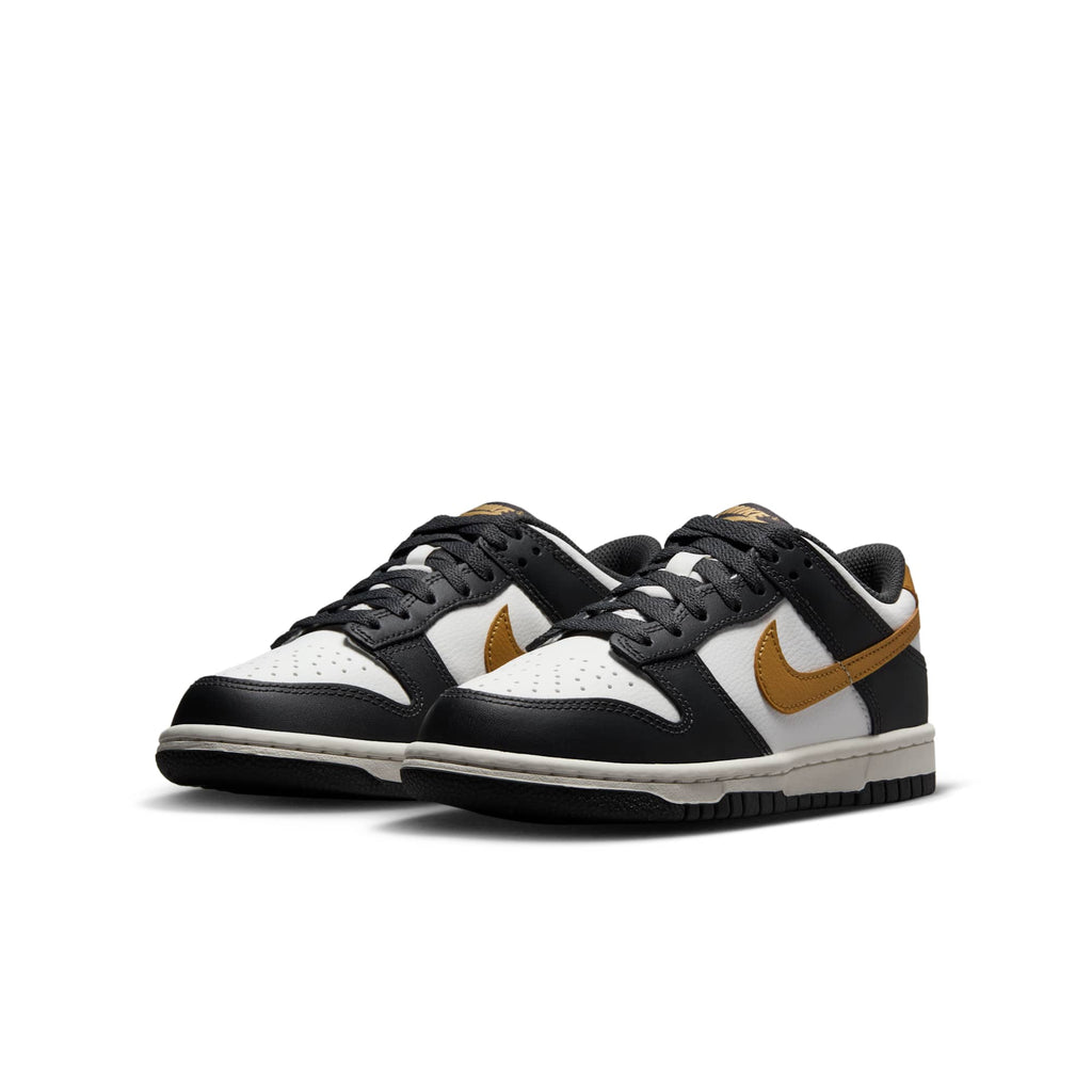 [HV2533-100] GRADE SCHOOL NIKE GS DUNK LOW