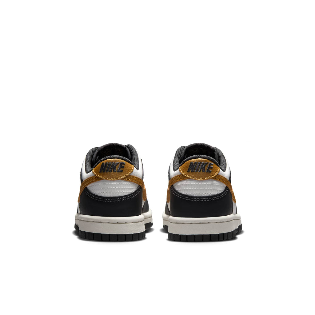 [HV2533-100] GRADE SCHOOL NIKE GS DUNK LOW