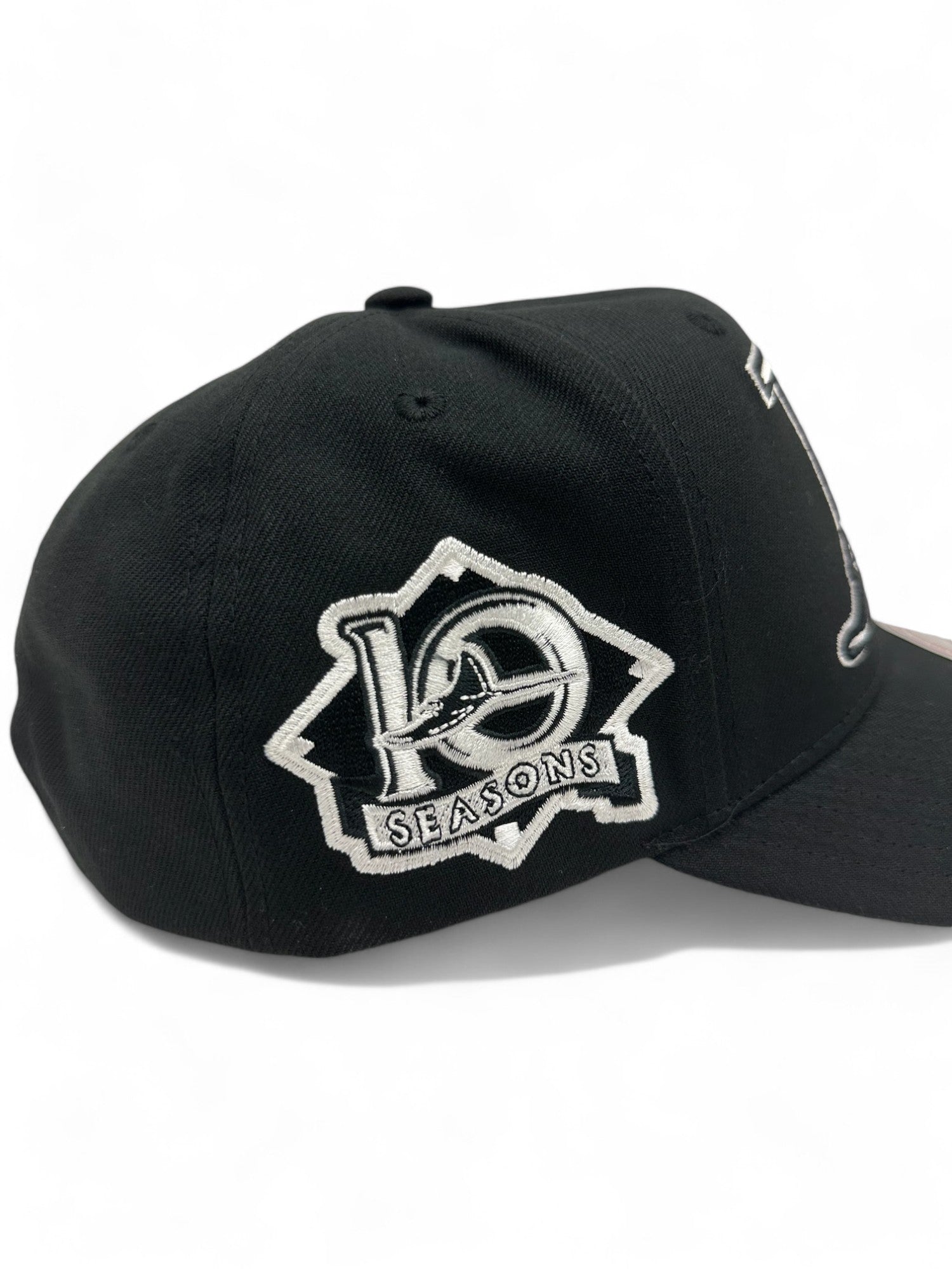 MENS MITCHELL & NESS MLB PANDA PRO SNAPBACK COOP RAYS - BLACK