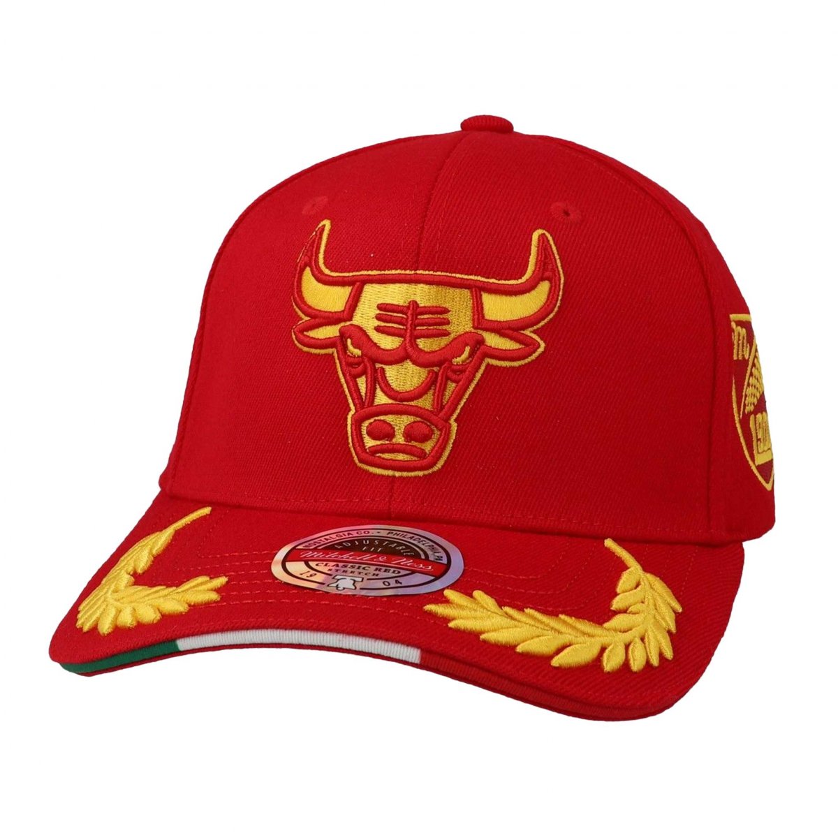 Mens Mitchell & Ness NBA FORMULA 1 STRETCH SNAPBACK BULLS