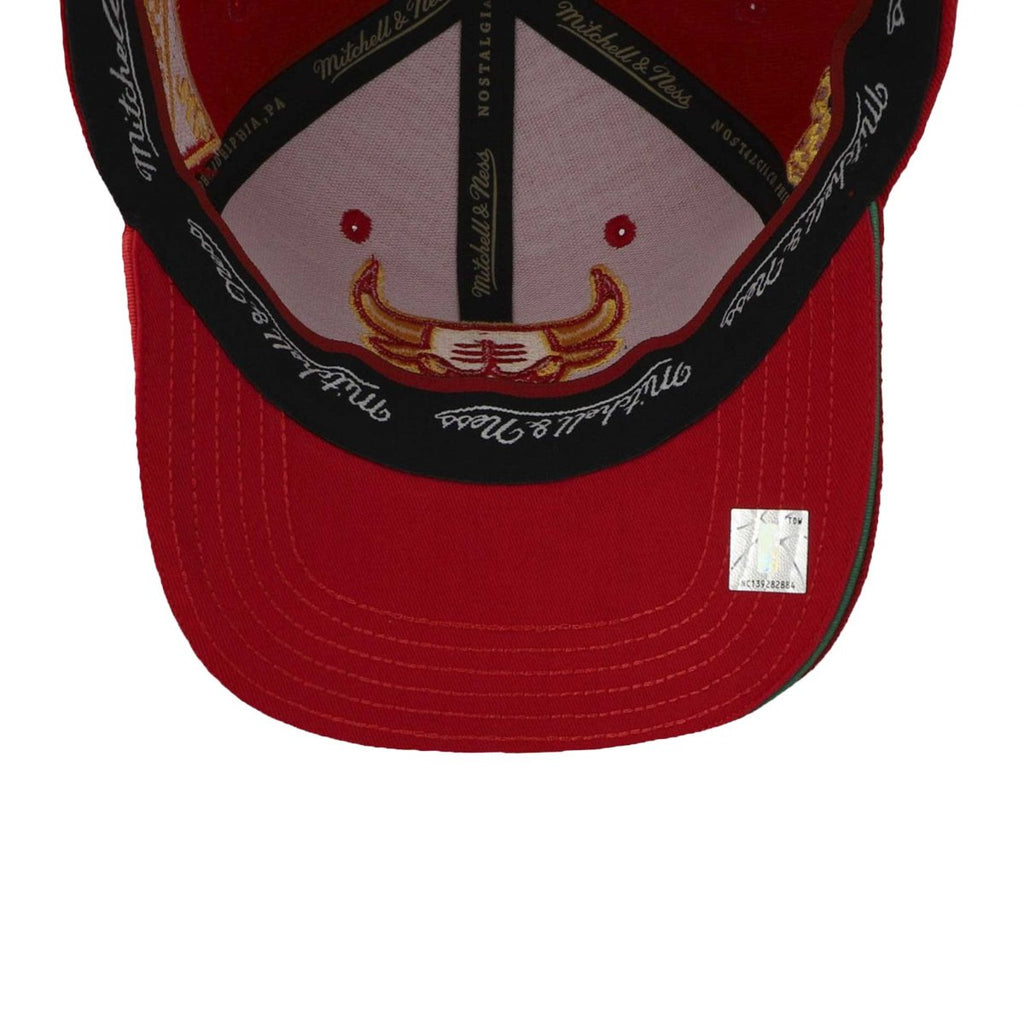 Mens Mitchell & Ness NBA FORMULA 1 STRETCH SNAPBACK BULLS