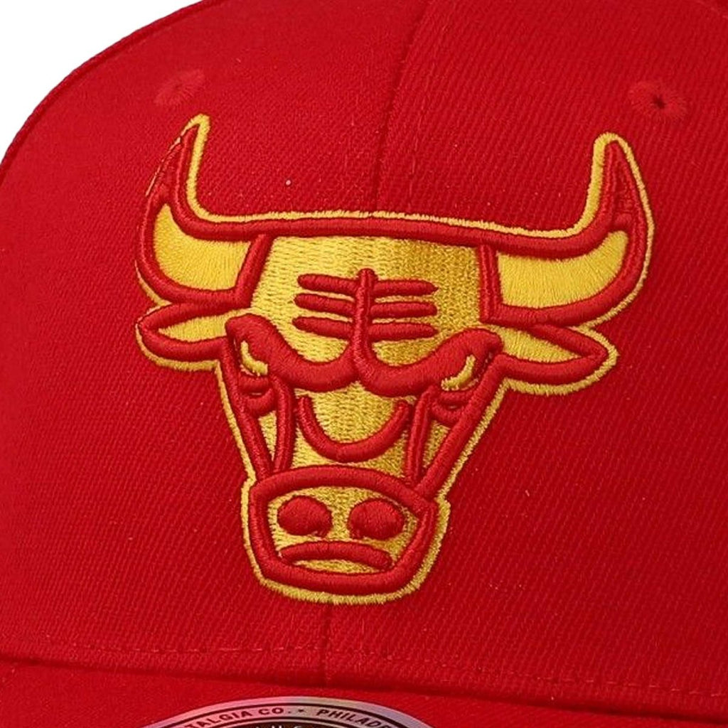 Mens Mitchell & Ness NBA FORMULA 1 STRETCH SNAPBACK BULLS