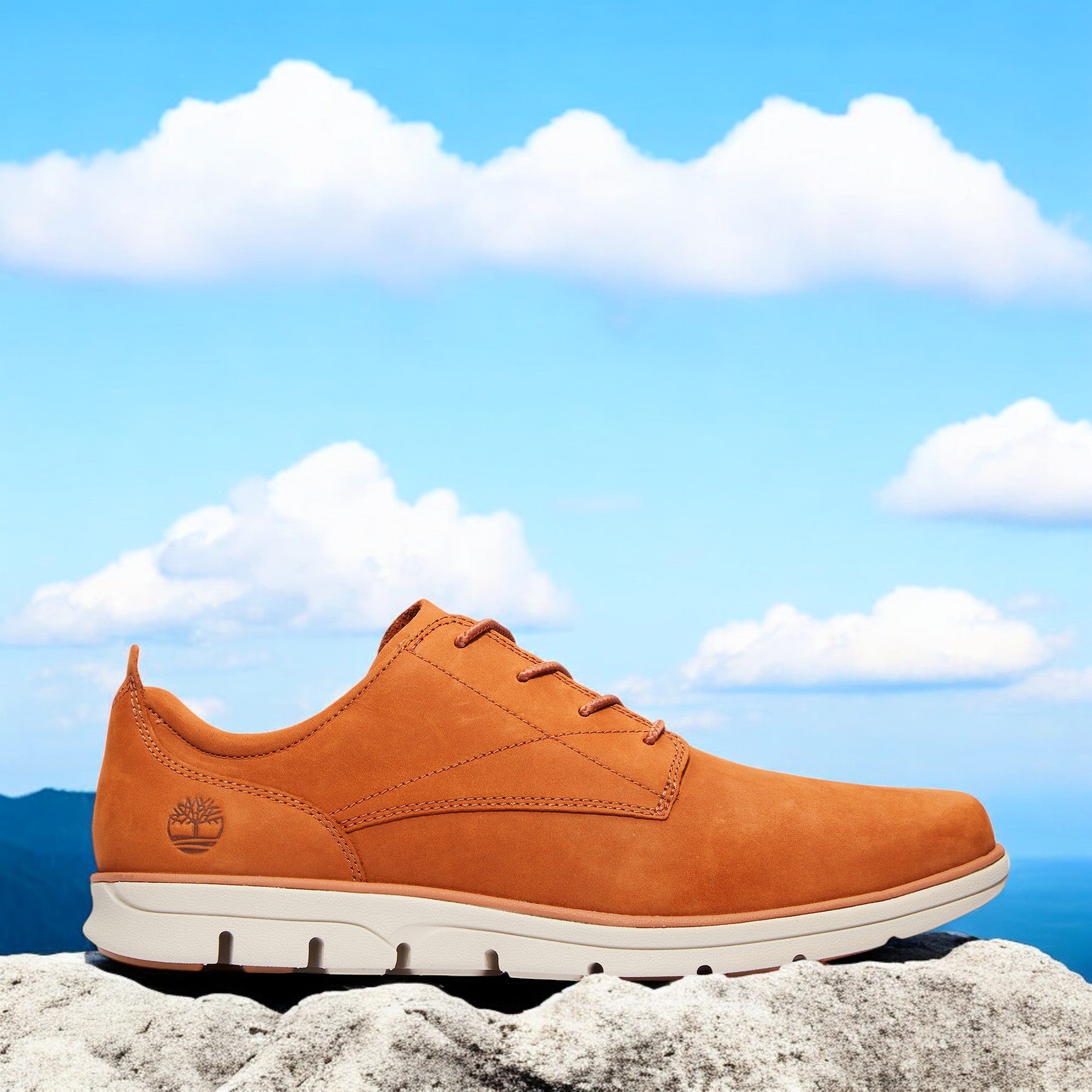 [TB0A2A3EF13] MENS TIMBERLAND BRADSTREET PLAIN TOE OXFORD