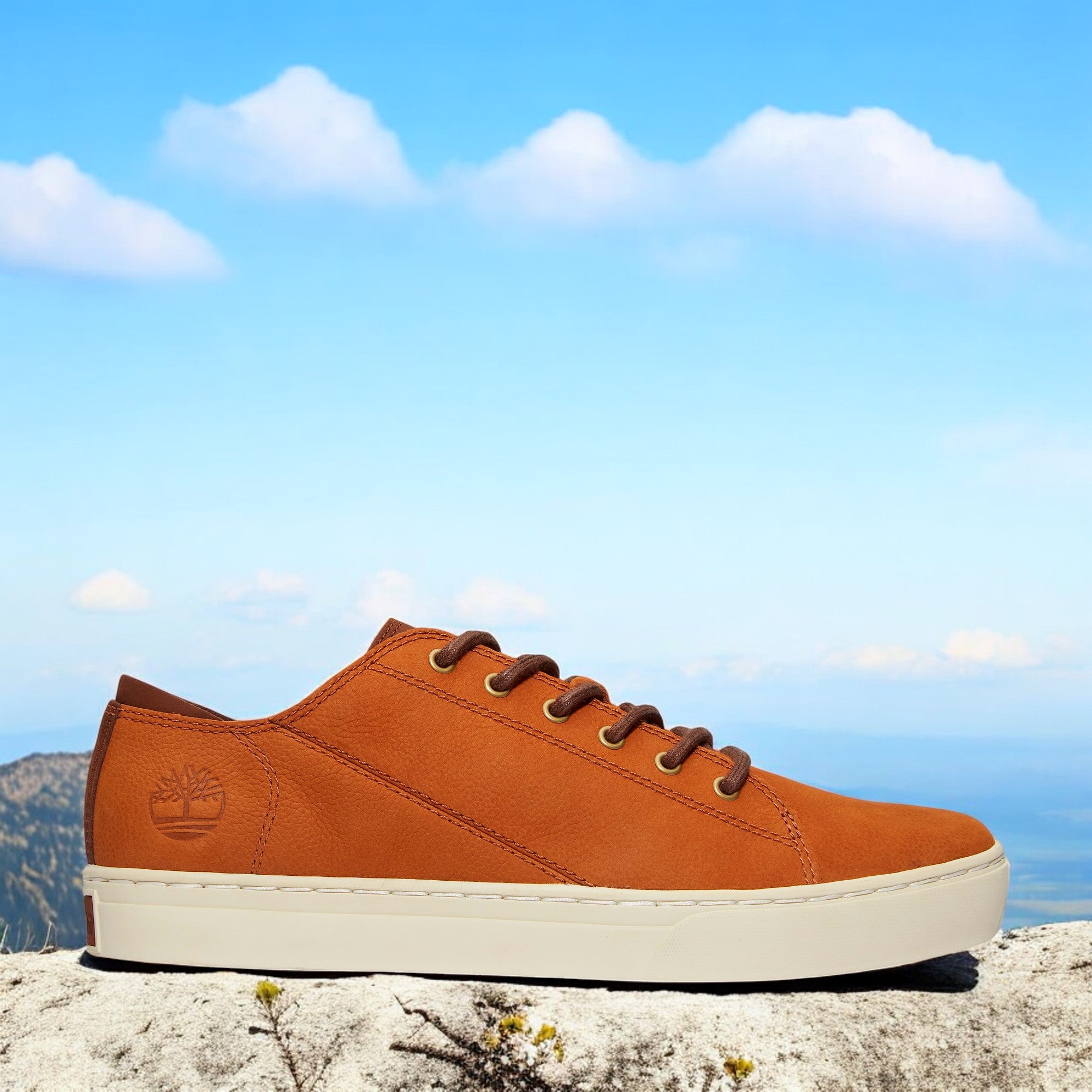 [TB0A41AQF13] MENS TIMBERLAND ADVENTURE 2.0 CUPSOLE MODERN OXFORD