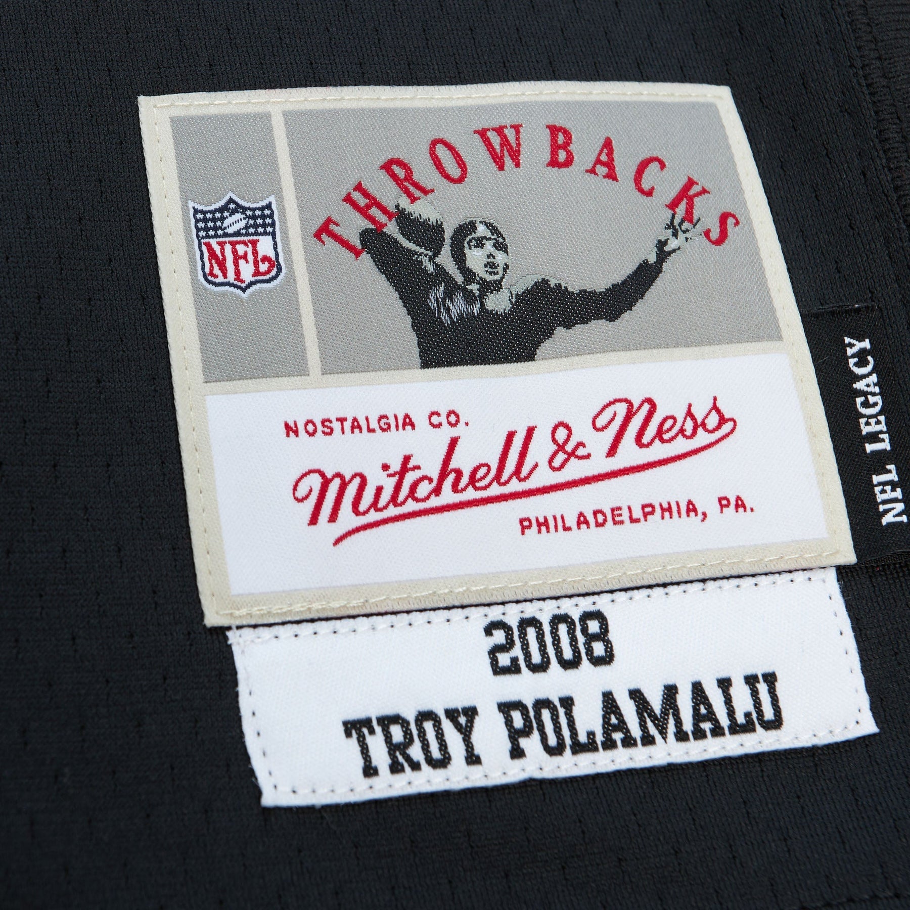 Mens Mitchell & Ness NFL ALTERNATE JERSEY STEELERS 2008 TROY POLAMALU