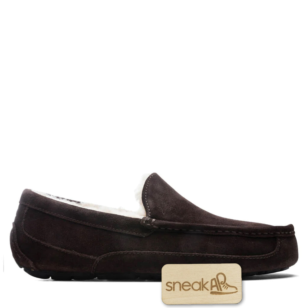 [1101110-ESP] Mens Ugg ASCOT ESPRESSO