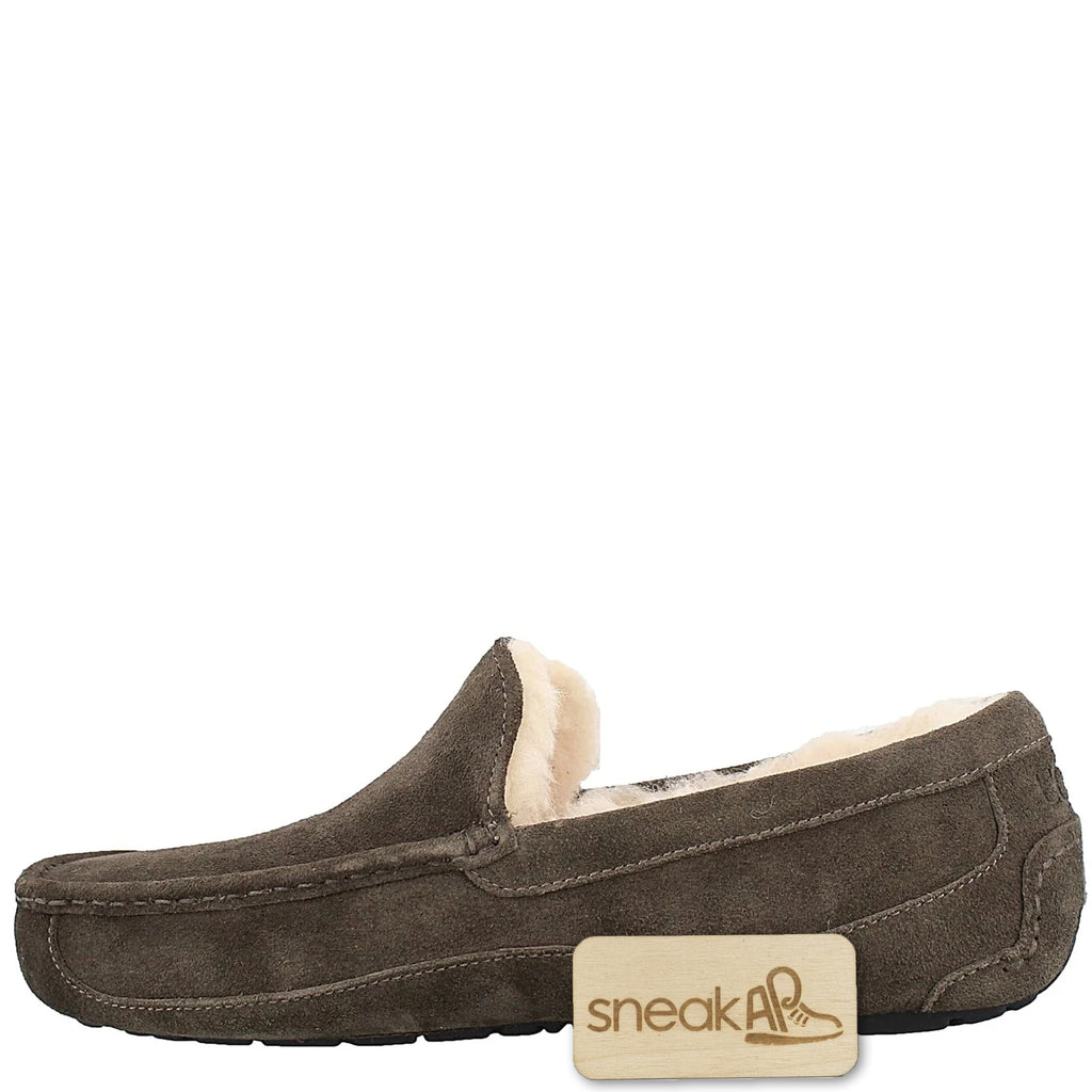 [1101110-CHRC] Mens UGG ASCOT
