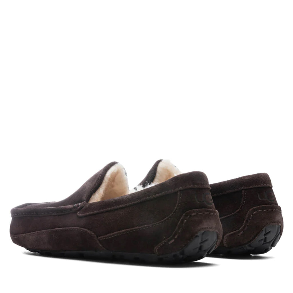 [1101110-ESP] Mens Ugg ASCOT ESPRESSO