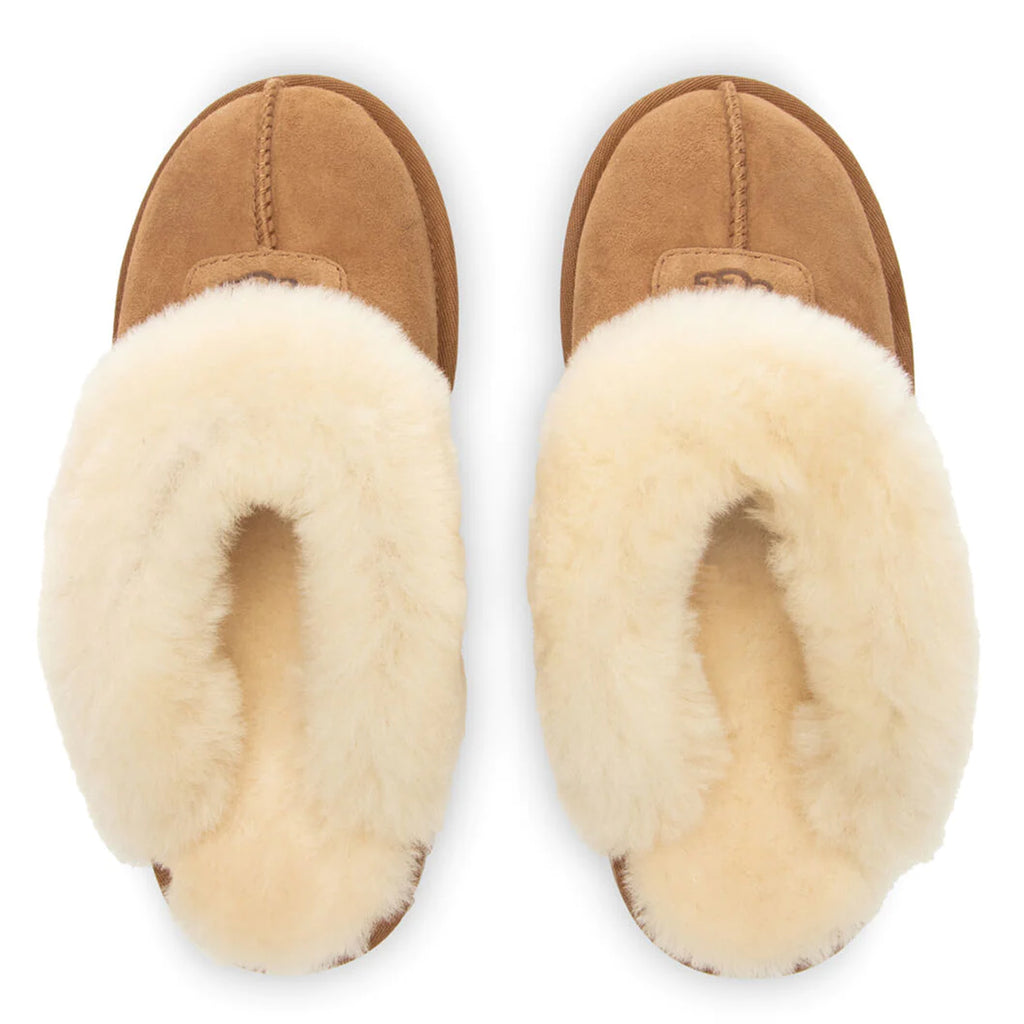[5125-CHE] Womens Ugg COQUETTE