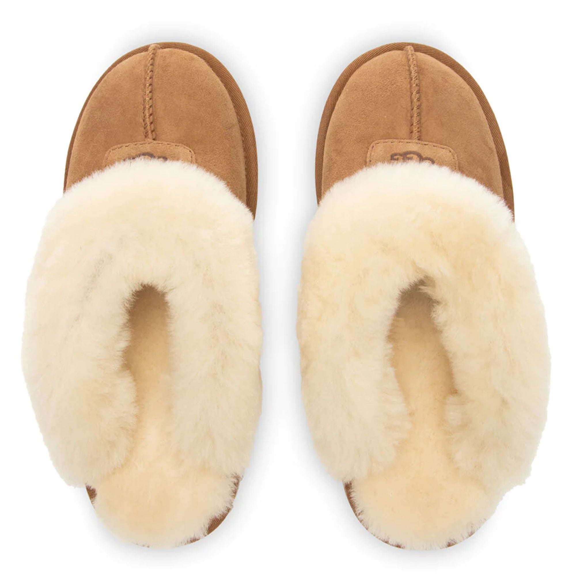 [5125-CHE] Womens Ugg COQUETTE