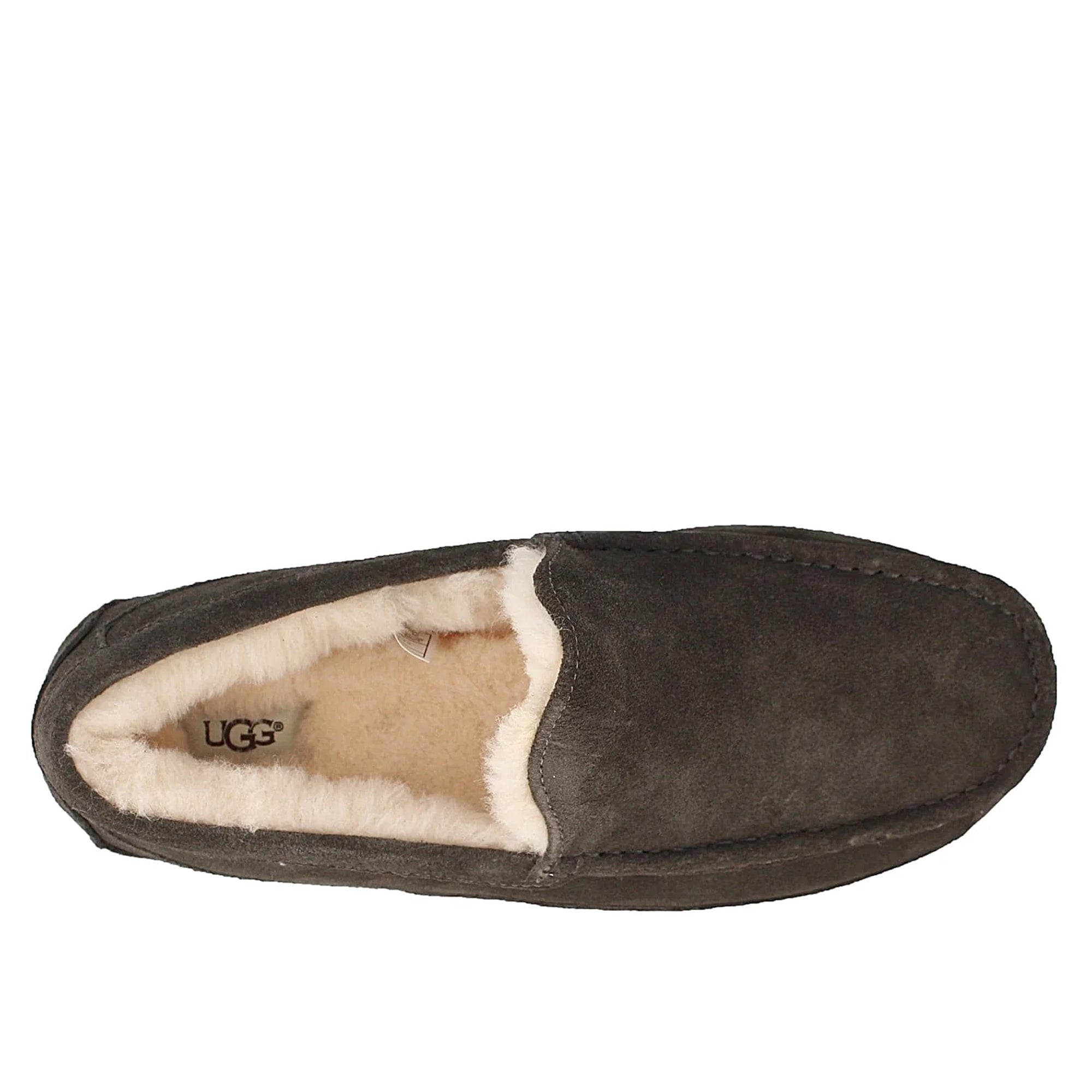 [1101110-CHRC] Mens UGG ASCOT