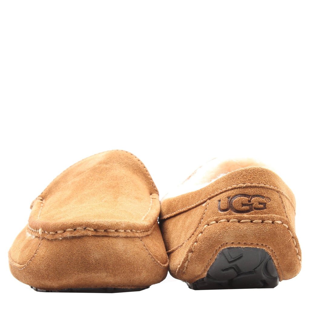 [1101110-CHE] Mens UGG ASCOT