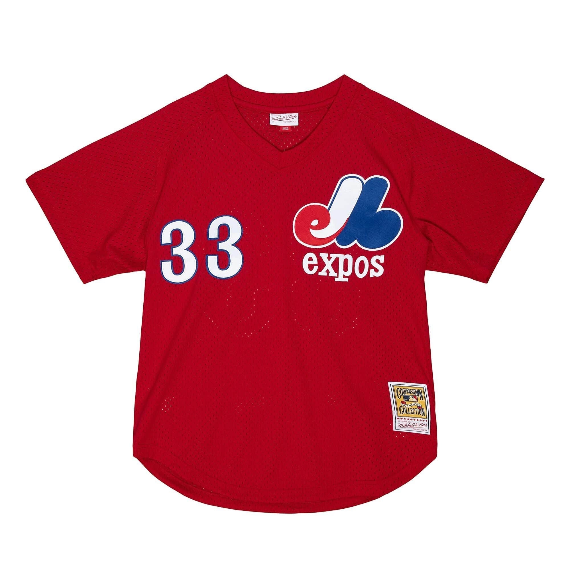Mens Mitchell & Ness MLB AUTHENTIC BP JERSEY - PULLOVER EXPOS 1989 LARRY WALKER