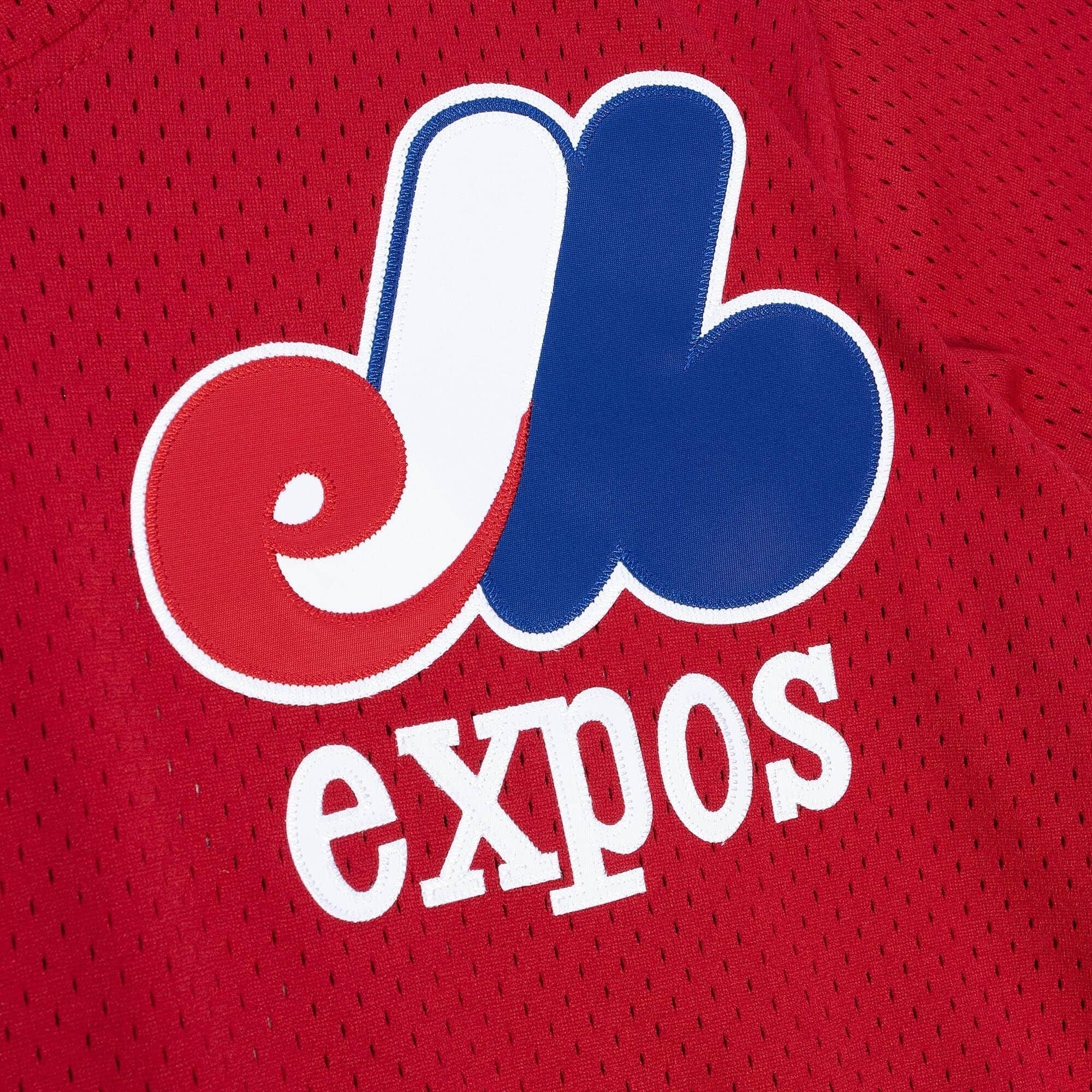 Mens Mitchell & Ness MLB AUTHENTIC BP JERSEY - PULLOVER EXPOS 1989 LARRY WALKER