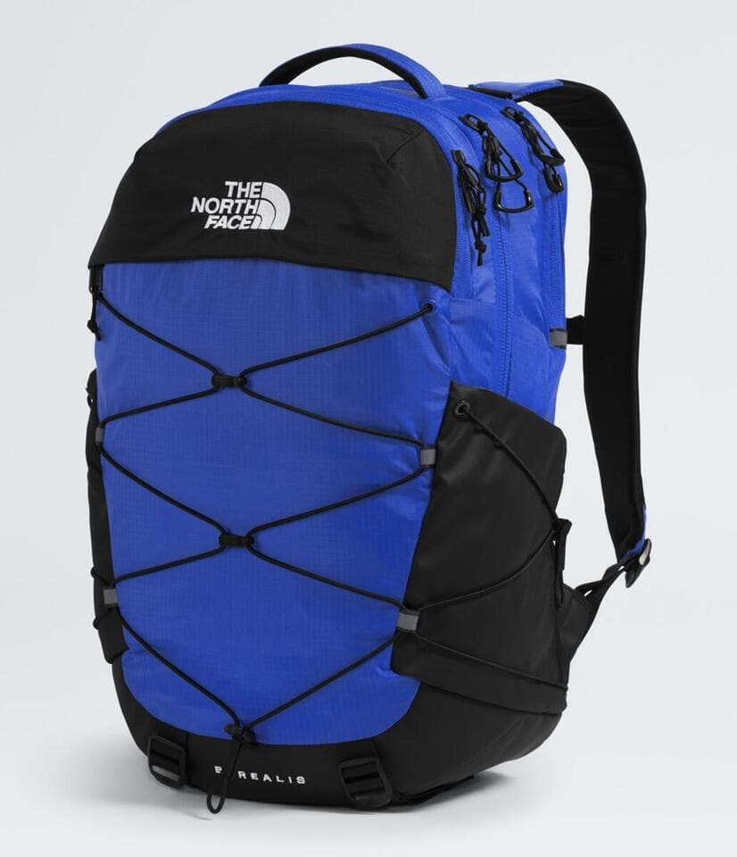 [NF0A52SEG2H] UNISEX THE NORTH FACE BOREALIS BACKPACK