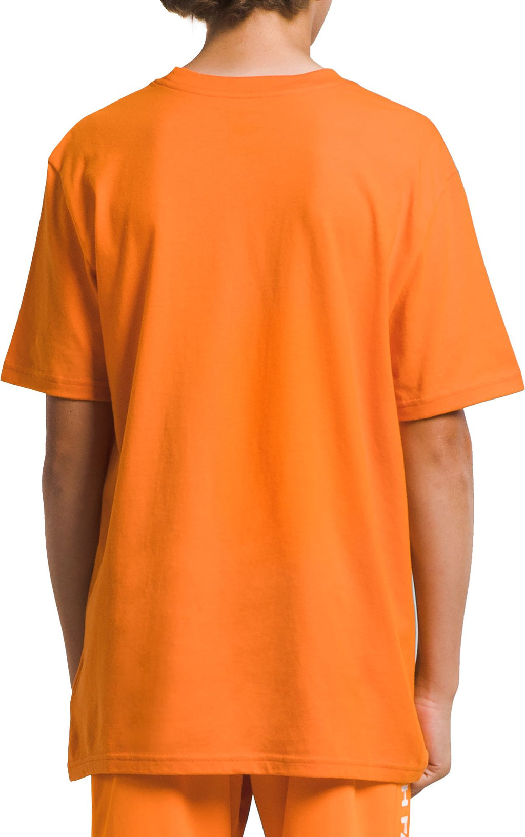 [NF0A82T8I0M1] YOUTH THE NORTH FACE GRAPHIC SHORT SLEEVE T-SHIRT