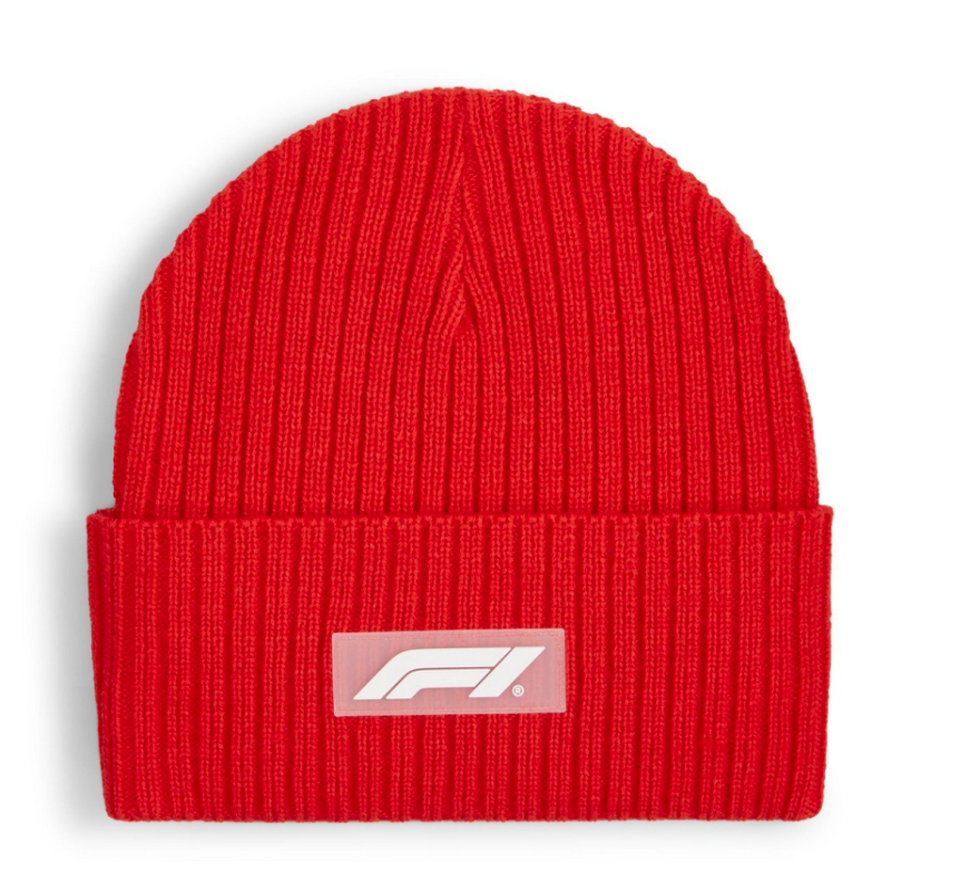 [025795-02] Mens Puma F1 BEANIE
