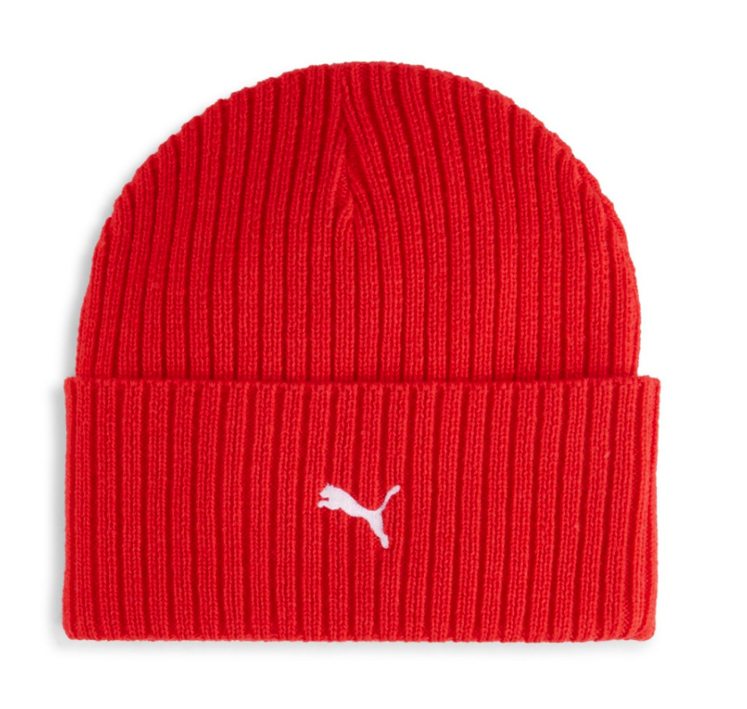 [025795-02] Mens Puma F1 BEANIE