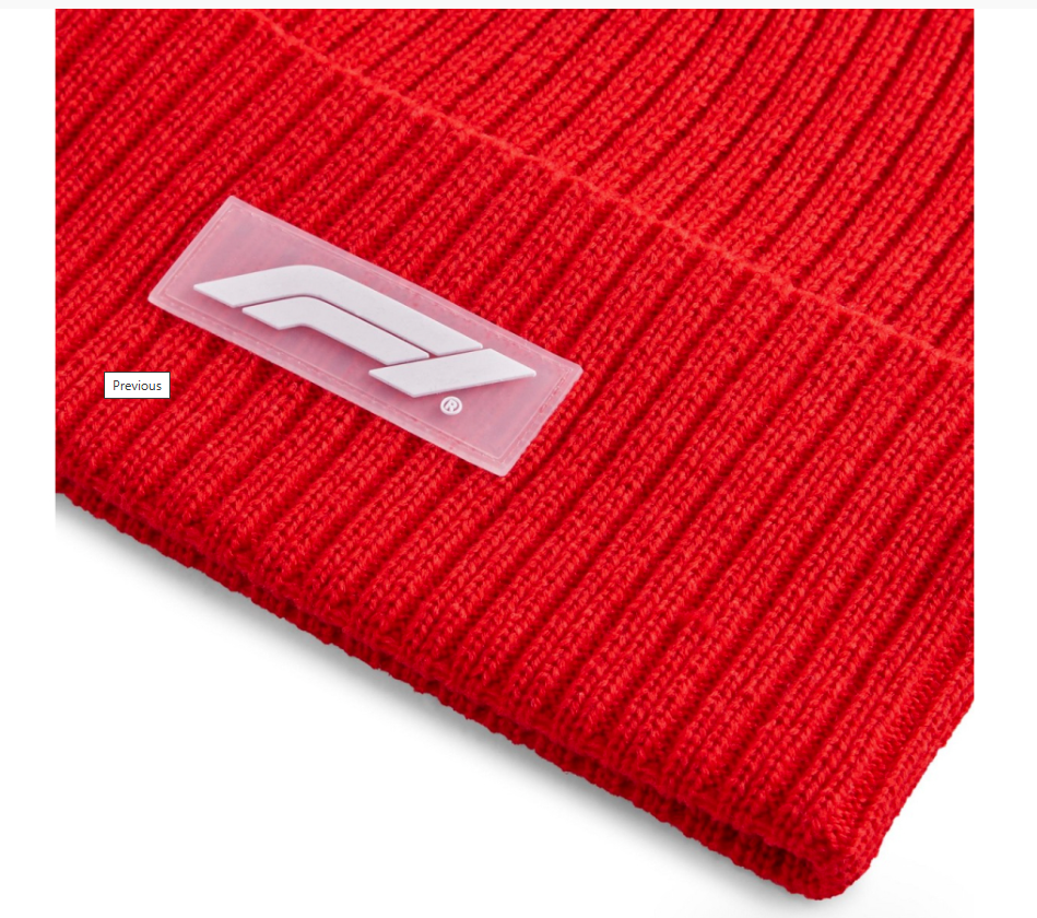 [025795-02] Mens Puma F1 BEANIE