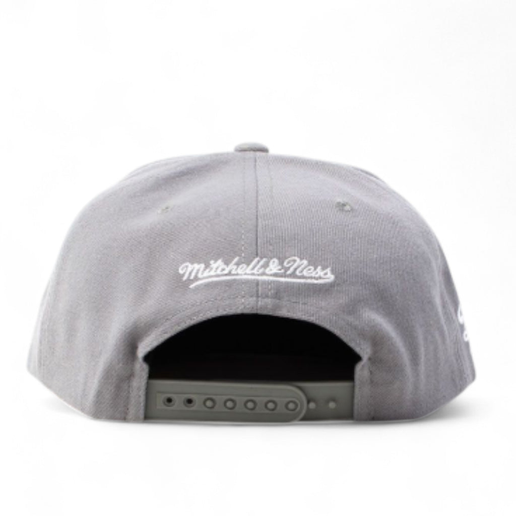 MENS MITCHELL & NESS MLB EVERGREEN GREY WHITE SNAPBACK DODGERS