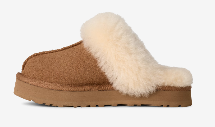 [1171199K-CHE] YOUTH UGG DISQUETTE SLIPPER 'CHESTNUT'