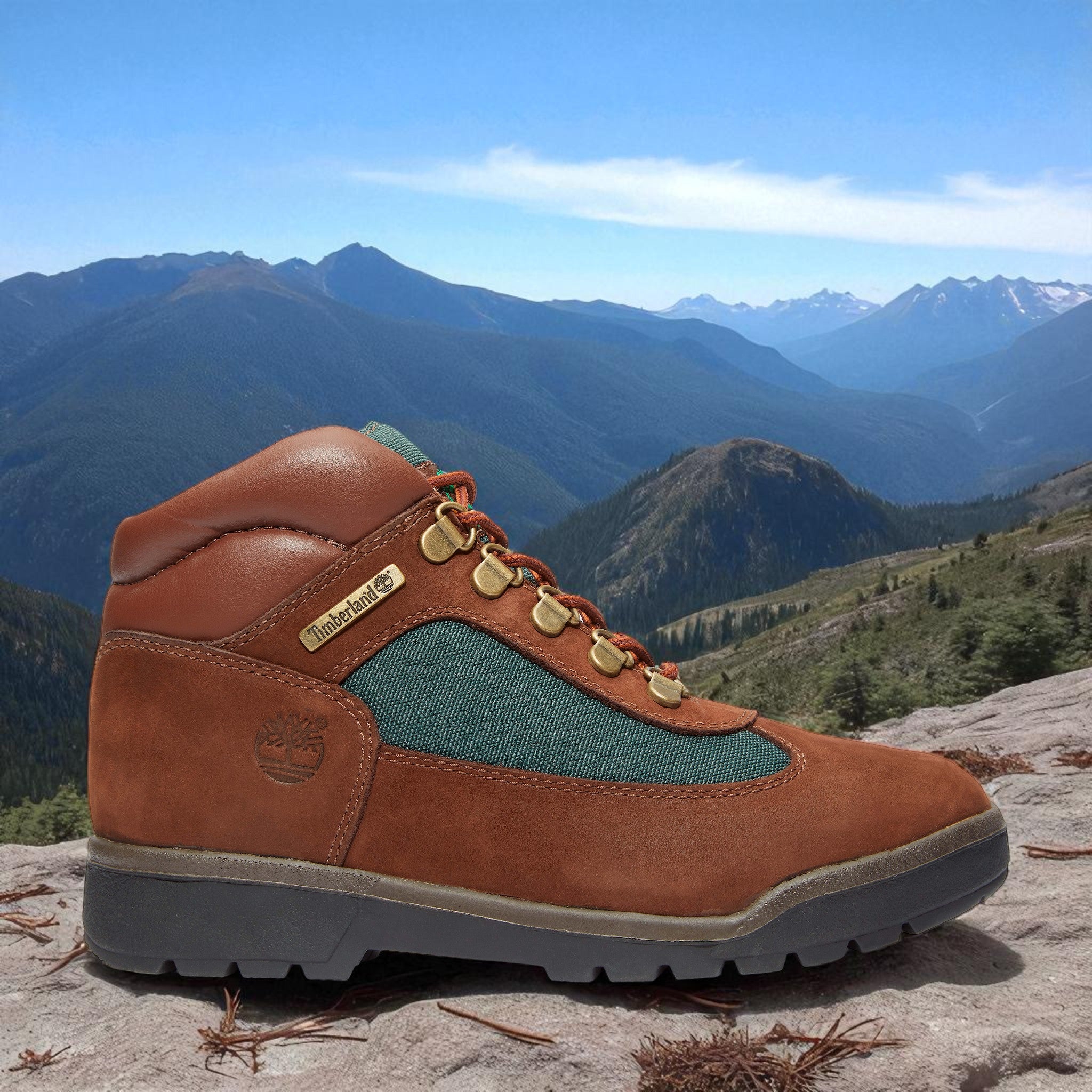 [TB016937242] Grade School Timberland FIELD BOOT JUNIOR 'DARK BROWN'
