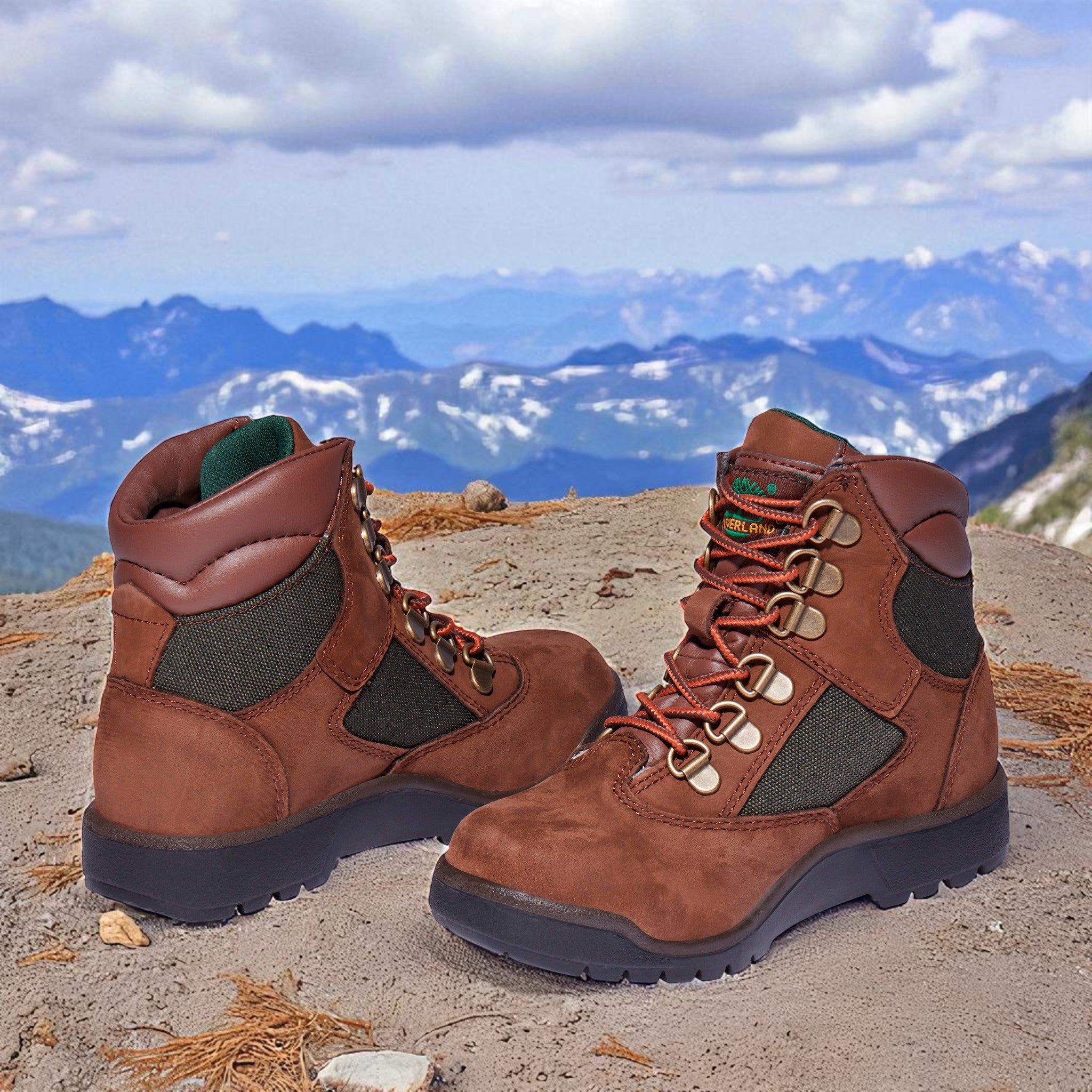 [TB044992214] Grade School Timberland 6 INCH FIELD BOOT JUNIOR 'BROWN GREEN'