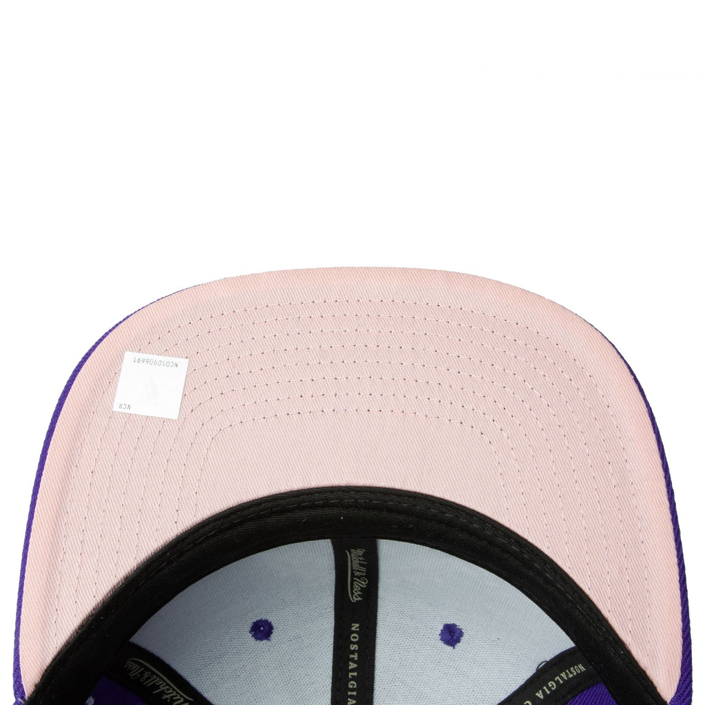 Mens Mitchell & Ness NBA ALL LOVE SNAPBACK HWC RAPTORS