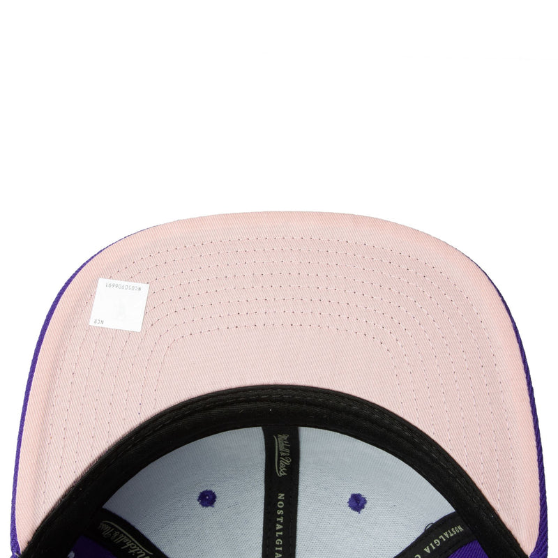 Mens Mitchell & Ness NBA ALL LOVE SNAPBACK HWC RAPTORS