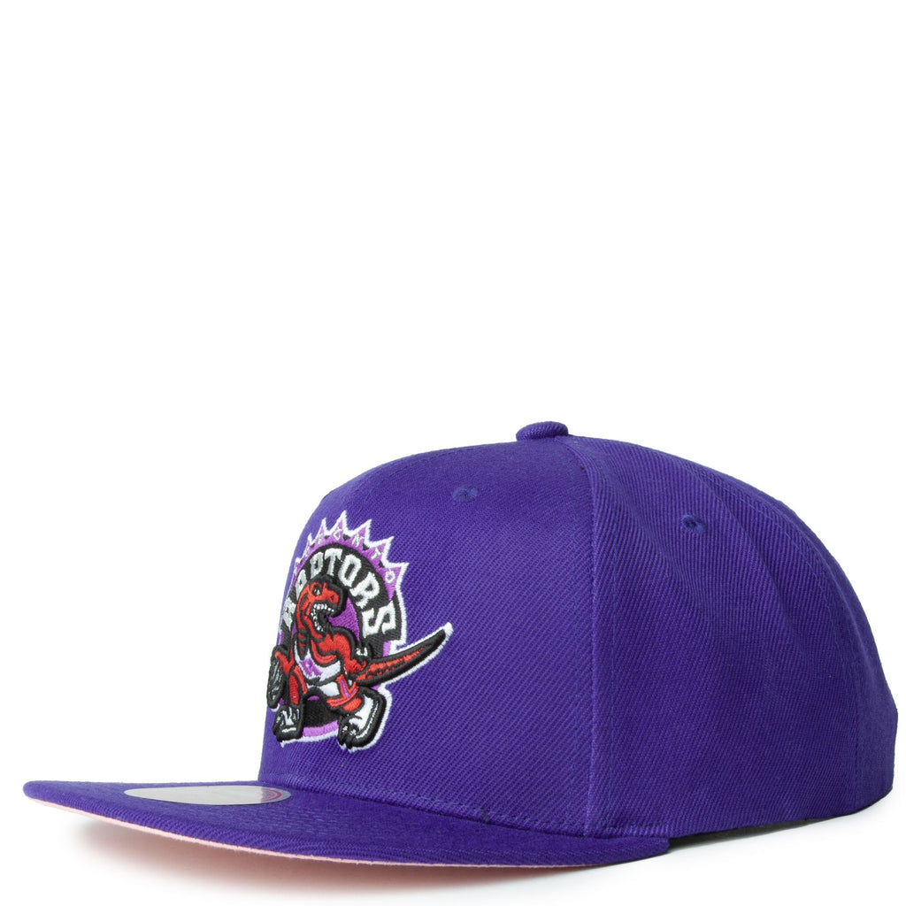 Mens Mitchell & Ness NBA ALL LOVE SNAPBACK HWC RAPTORS
