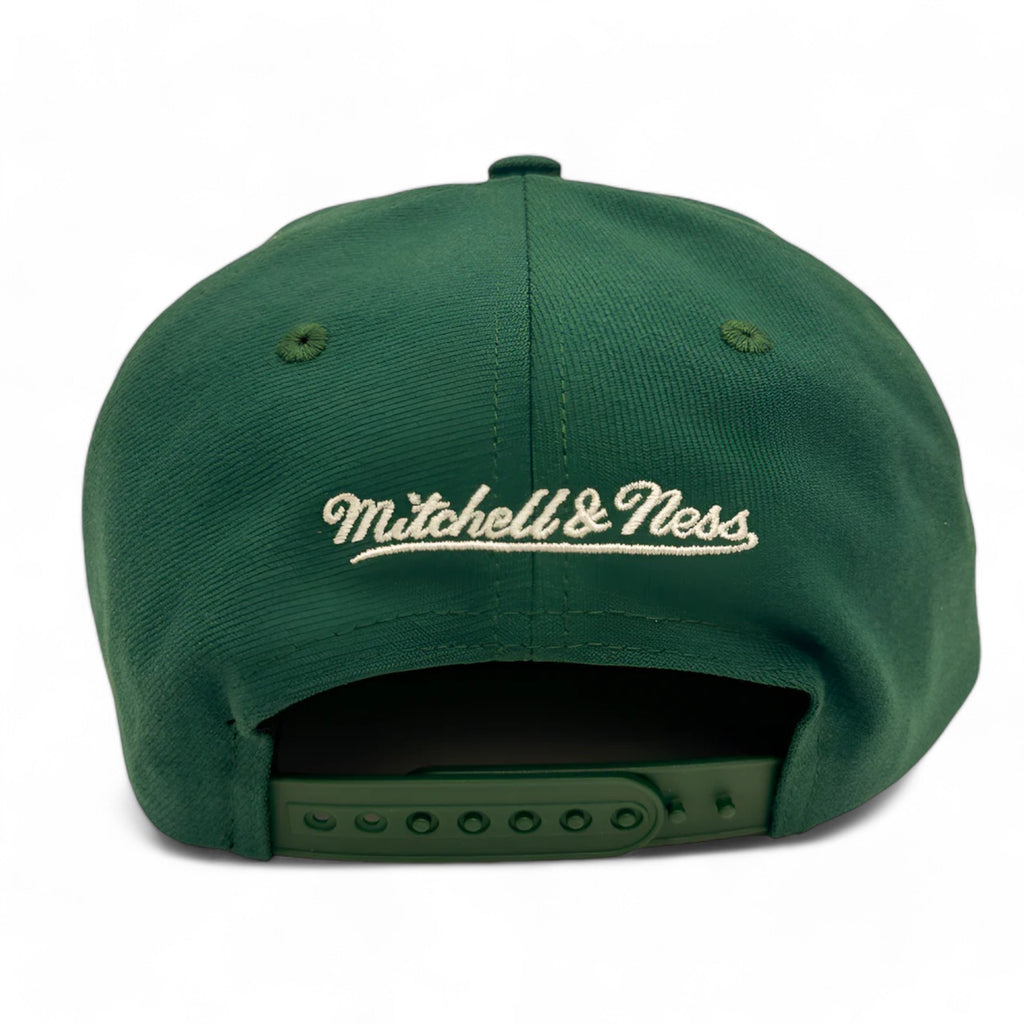 MENS MITCHELL & NESS MLB BACK TO BASICS SNAPBACK COOP RAYS - GREEN