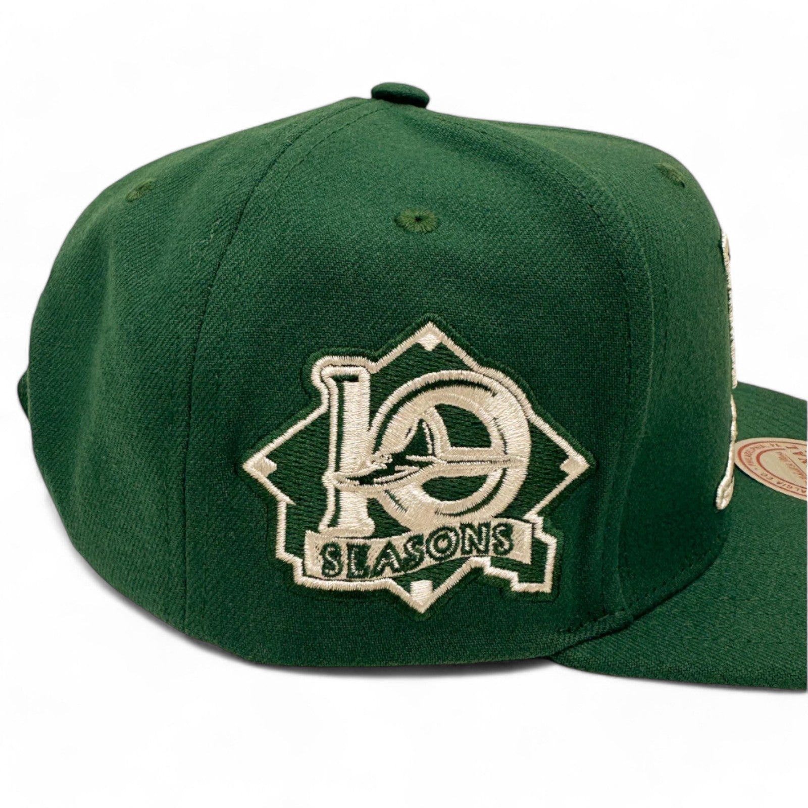 MENS MITCHELL & NESS MLB BACK TO BASICS SNAPBACK COOP RAYS - GREEN