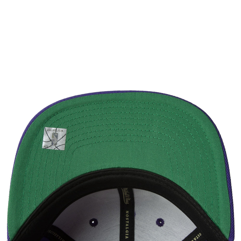 Mens Mitchell & Ness NBA TEAM GROUND 2.0 FITTED HWC RAPTORS