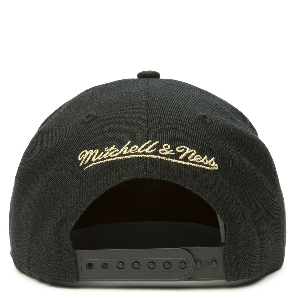 MENS MITCHELL & NESS NBA WATER TIGER SNAPBACK HWC GRIZZLIES