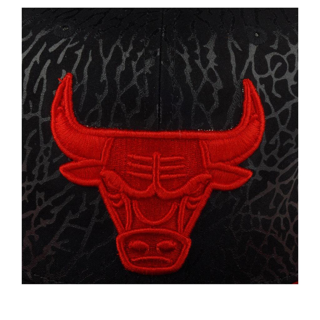MENS MITCHELL & NESS NBA DAY 5 SNAPBACK BULLS