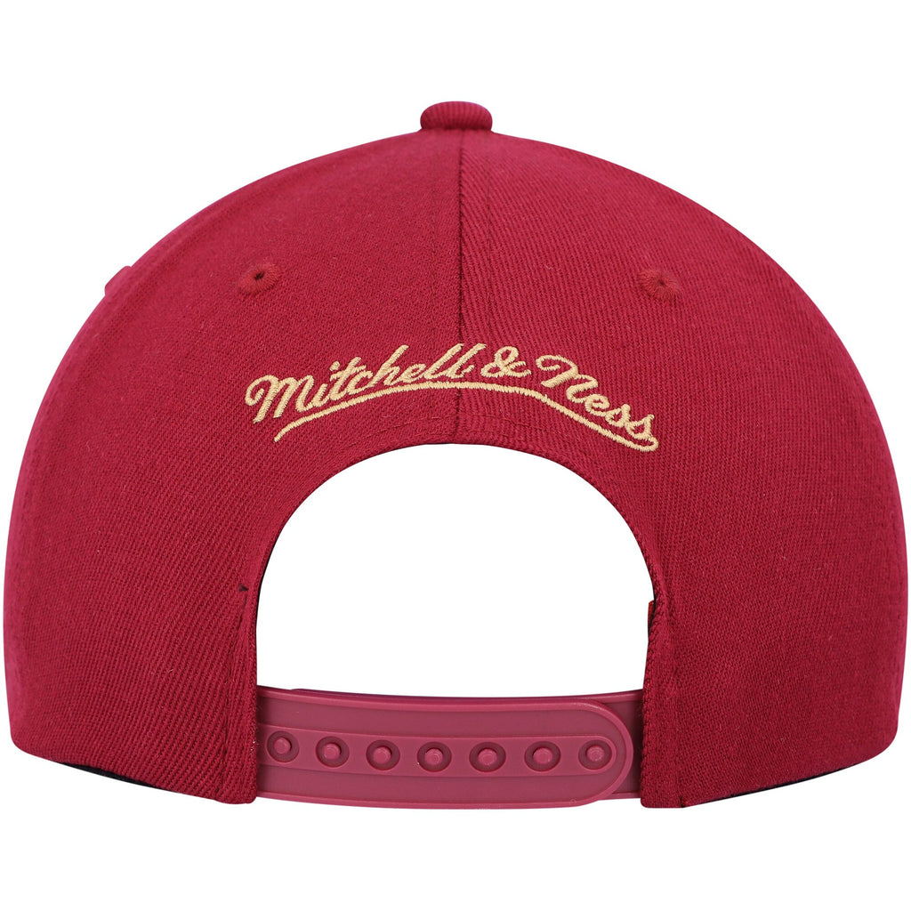 Mens Mitchell & Ness NBA TEAM 2 TONE 2.0 STRETCH SNAPBACK CAVALIERS