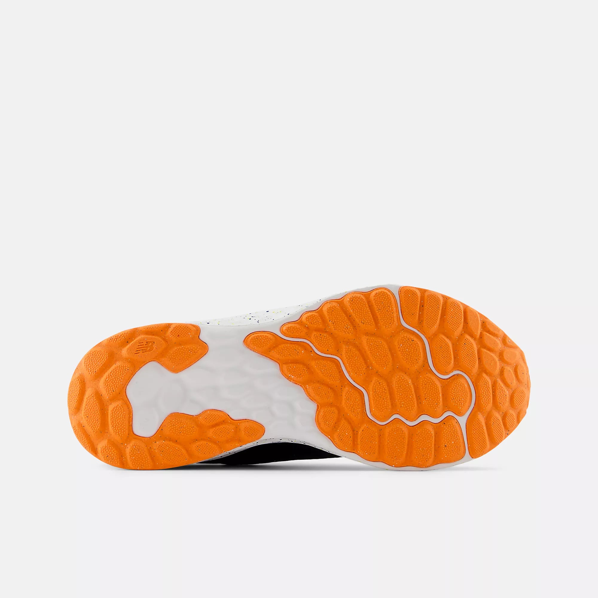 [GPARIBS4] GRADE SCHOOL NEW BALANCE FRESH FOAM ARISHI V4 (GS)