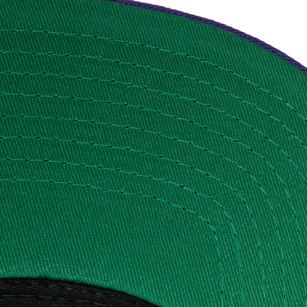 [HHSS3267-MBUYYPPPGNPR] MENS NBA MILWAUKEE BUCKS TEAM 2 TONE 2.0 SNAPBACK