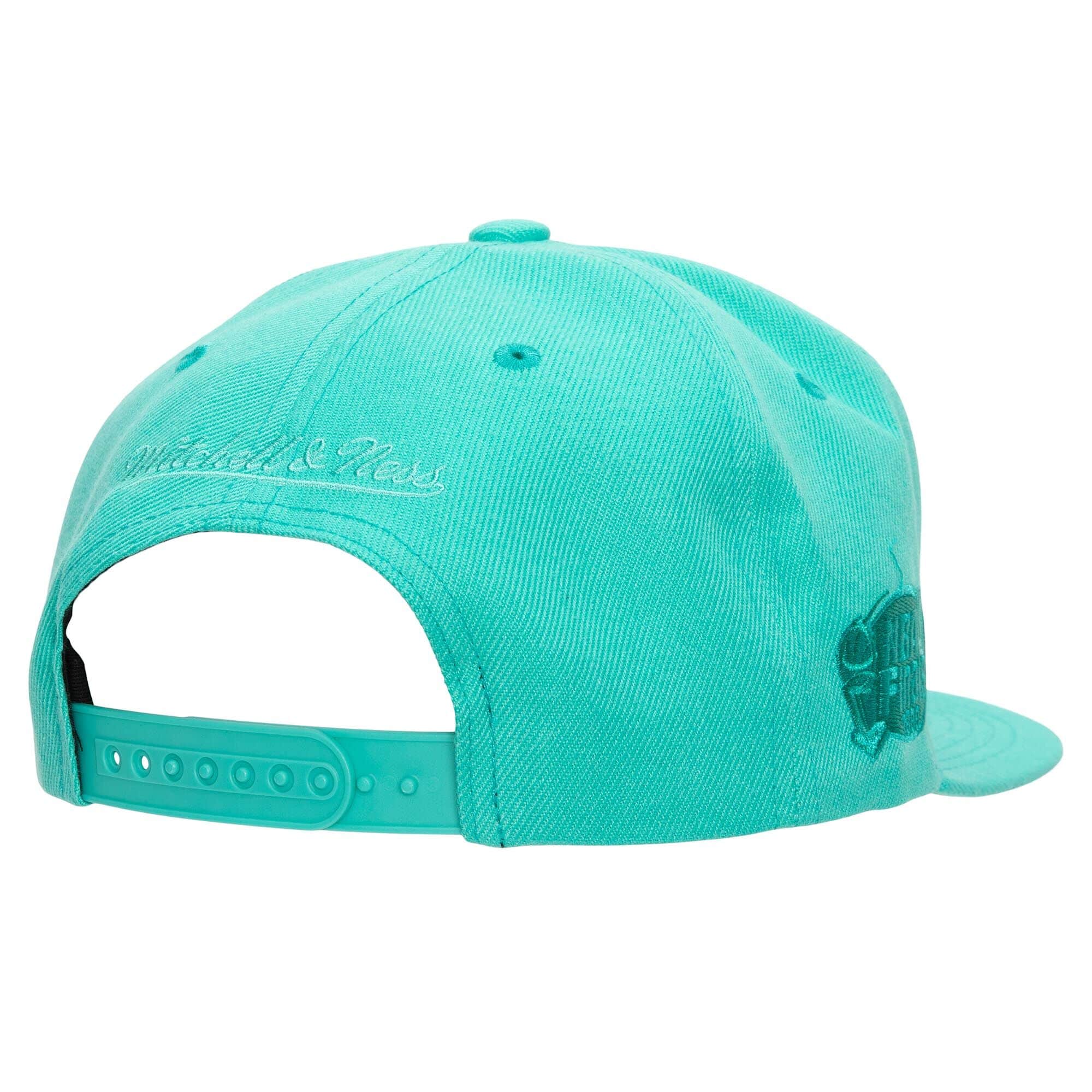 [HHSS3482-SASYYPPPTEAL] MENS NBA SAN ANTONIO SPURS MONOCHROMATIC SNAPBACK