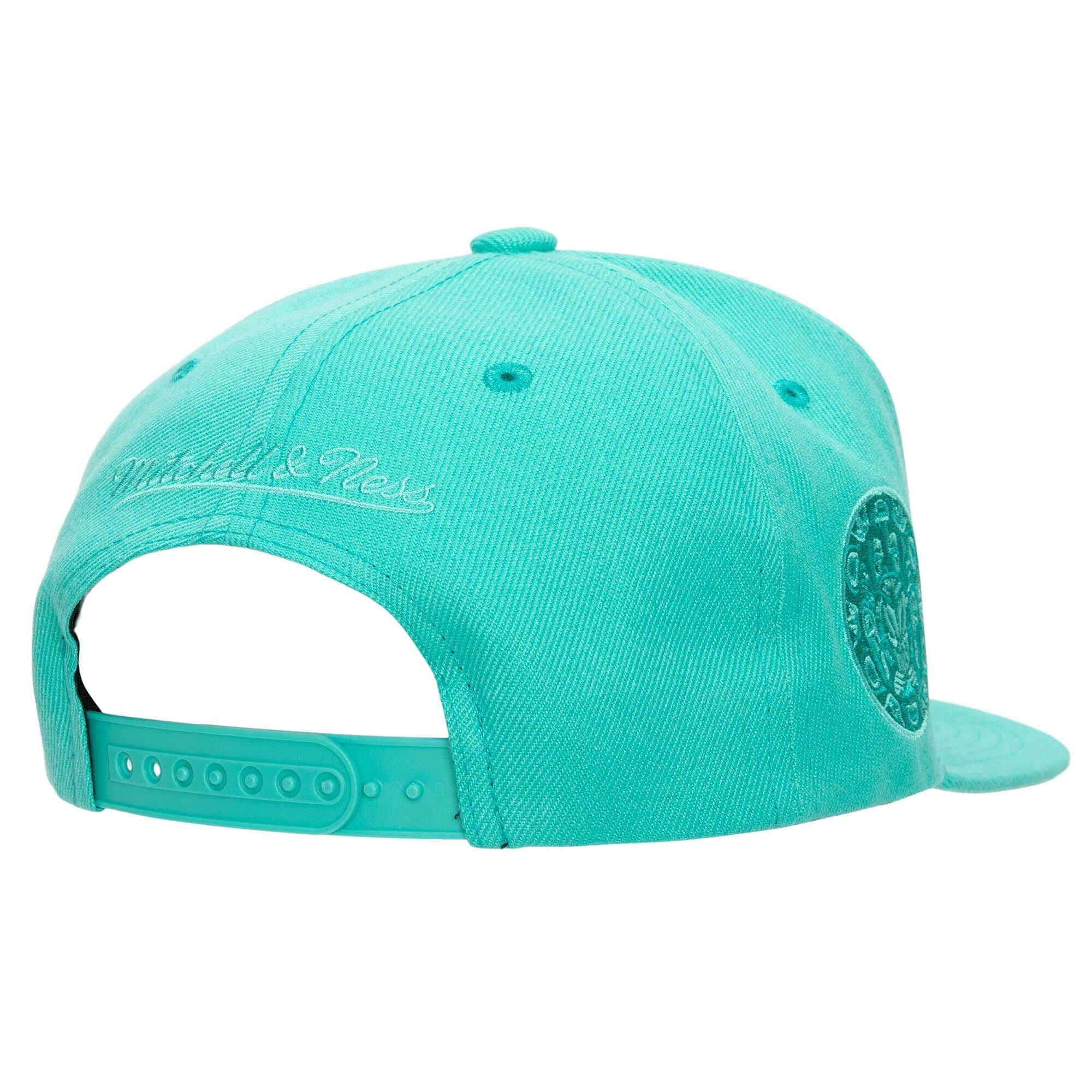 [HHSS3482-VGRYYPPPTEAL] MENS NBA VANCOUVER GRIZZLIES MONOCHROMATIC SNAPBACK