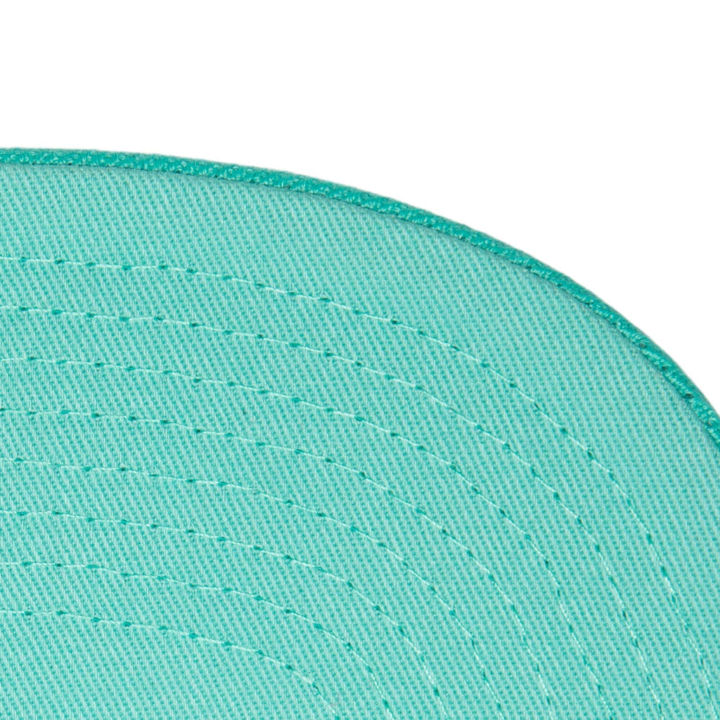 [HHSS3482-VGRYYPPPTEAL] MENS NBA VANCOUVER GRIZZLIES MONOCHROMATIC SNAPBACK