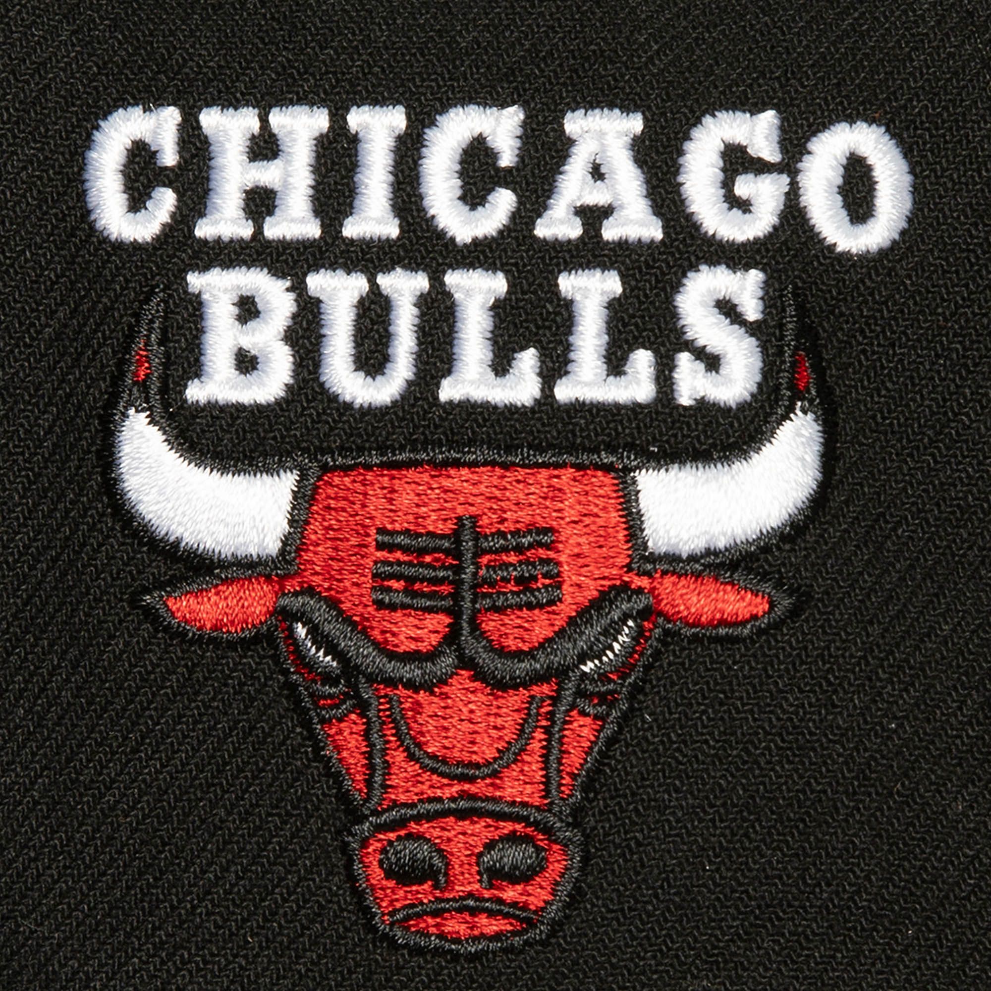 Mens MITCHELL & NESS NBA ICON GRAIL PRO SNAPBACK BULLS