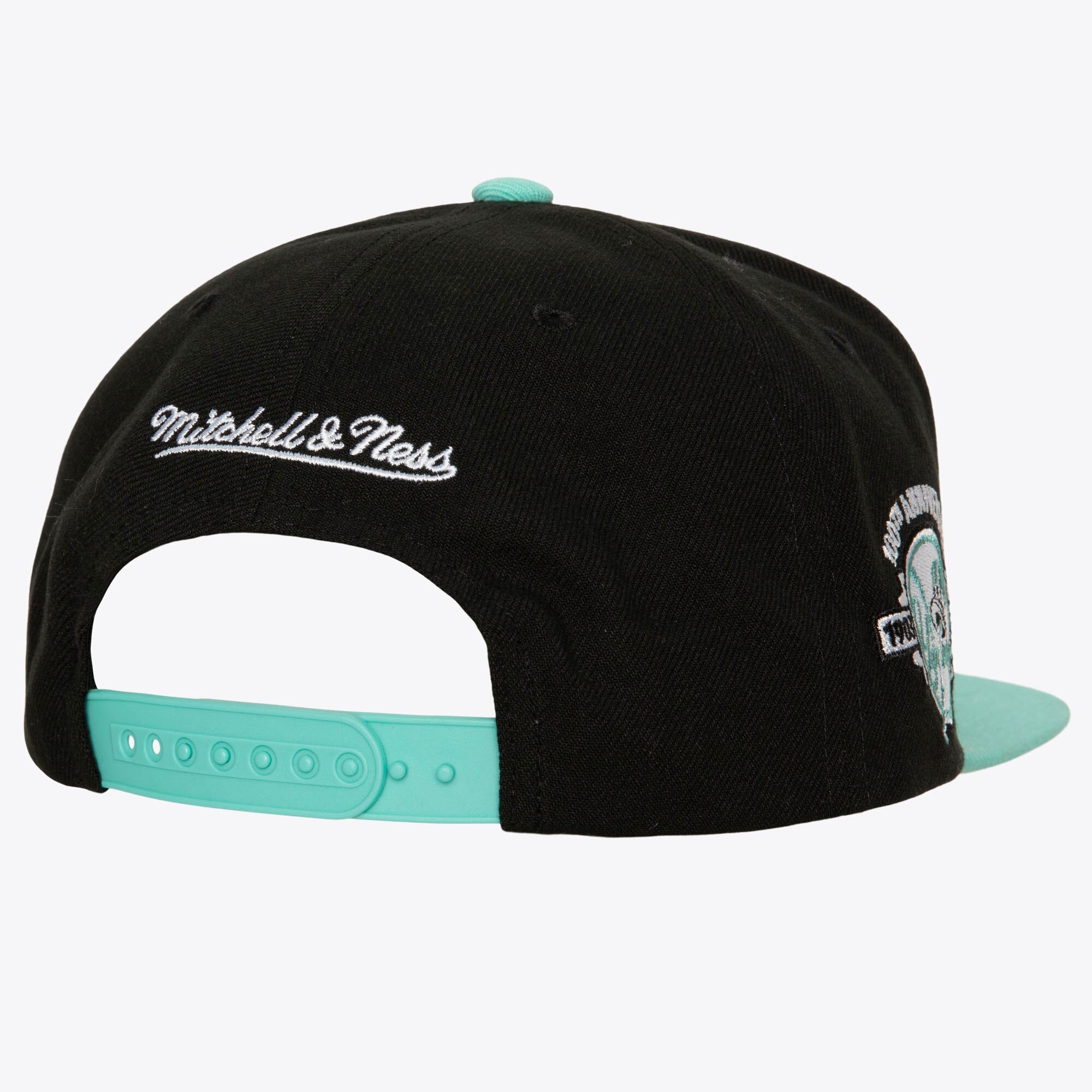 Mens Mitchell & Ness MLB HOMETOWN SNAPBACK COOP YANKEES