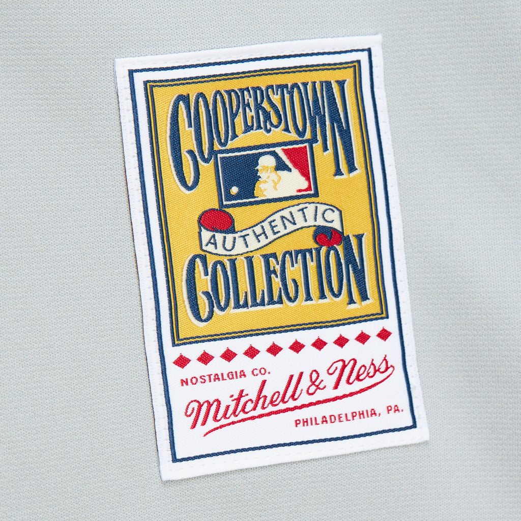 Mens Mitchell & Ness MLB DARK JERSEY PHILLIES 1989 MIKE SCHMIDT