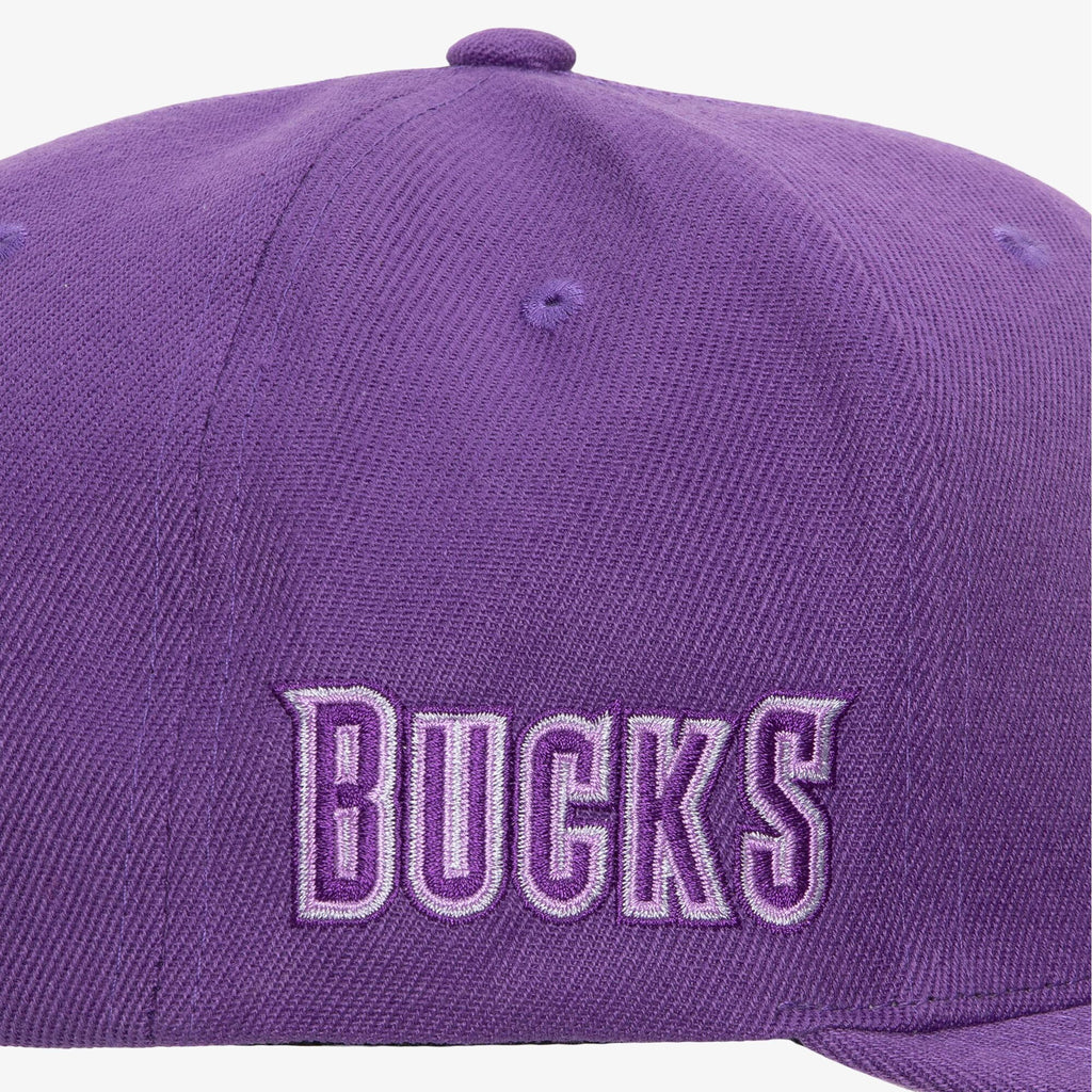 MENS MITCHELL & NESS NBA MONOCHROMATIC SNAPBACK HWC BUCKS - PURPLE