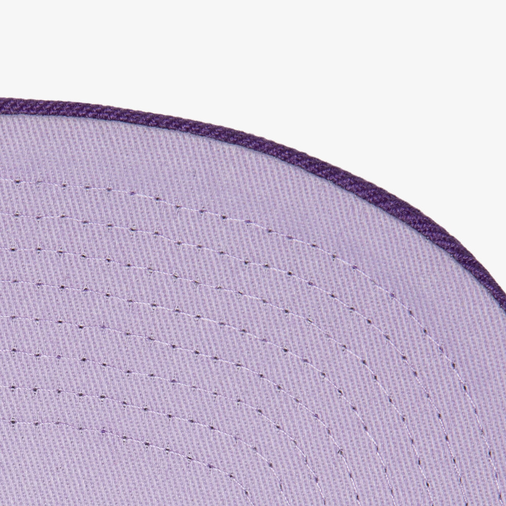 MENS MITCHELL & NESS NBA MONOCHROMATIC SNAPBACK HWC BUCKS - PURPLE