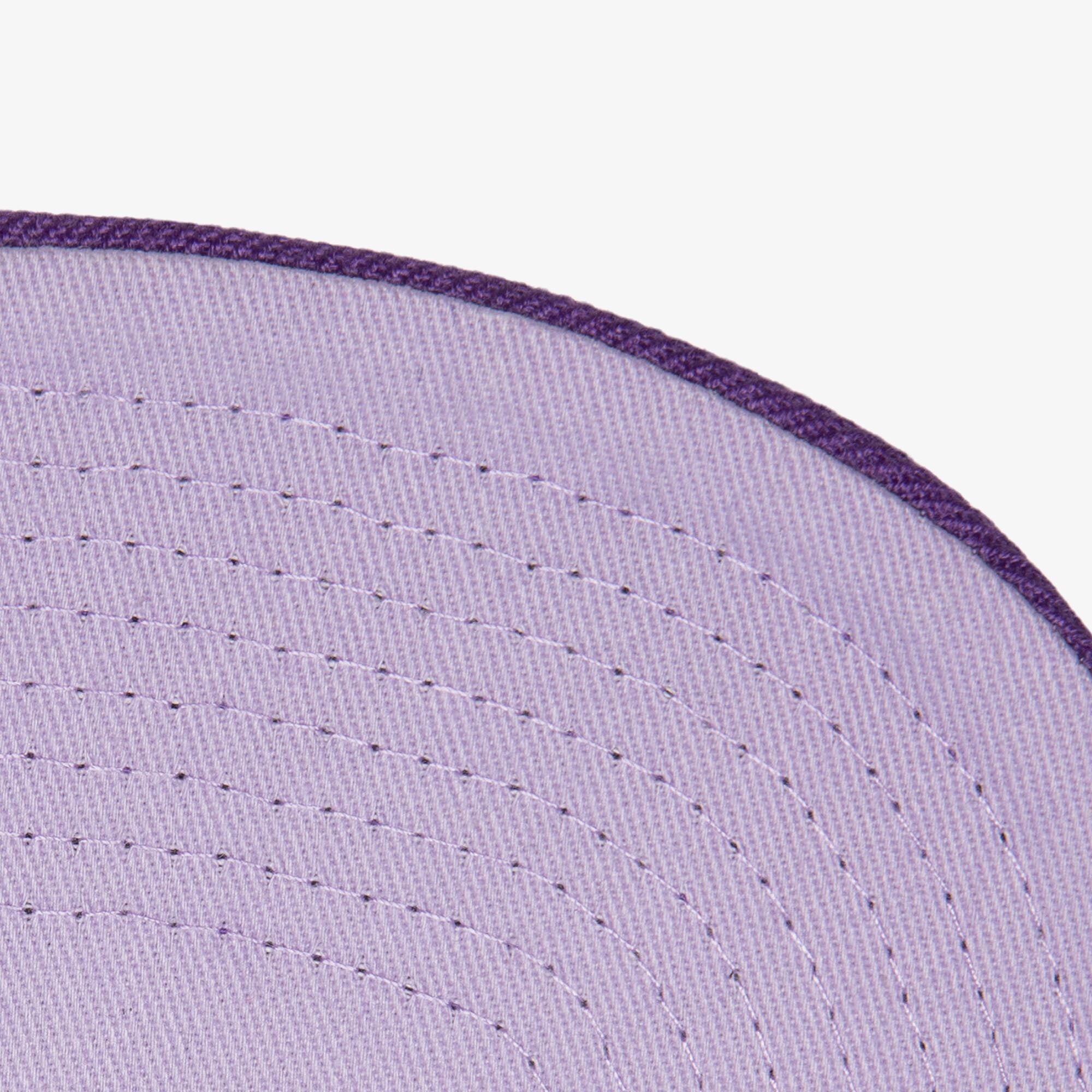 MENS MITCHELL & NESS NBA MONOCHROMATIC SNAPBACK HWC BUCKS - PURPLE